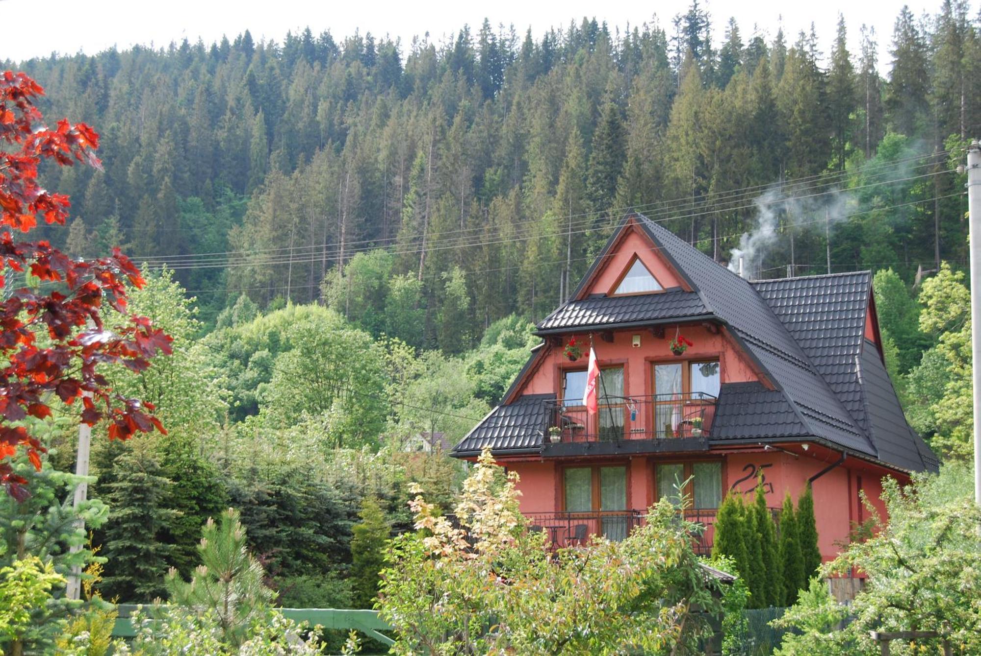 Willa Pod Bandera Zakopane Exterior foto