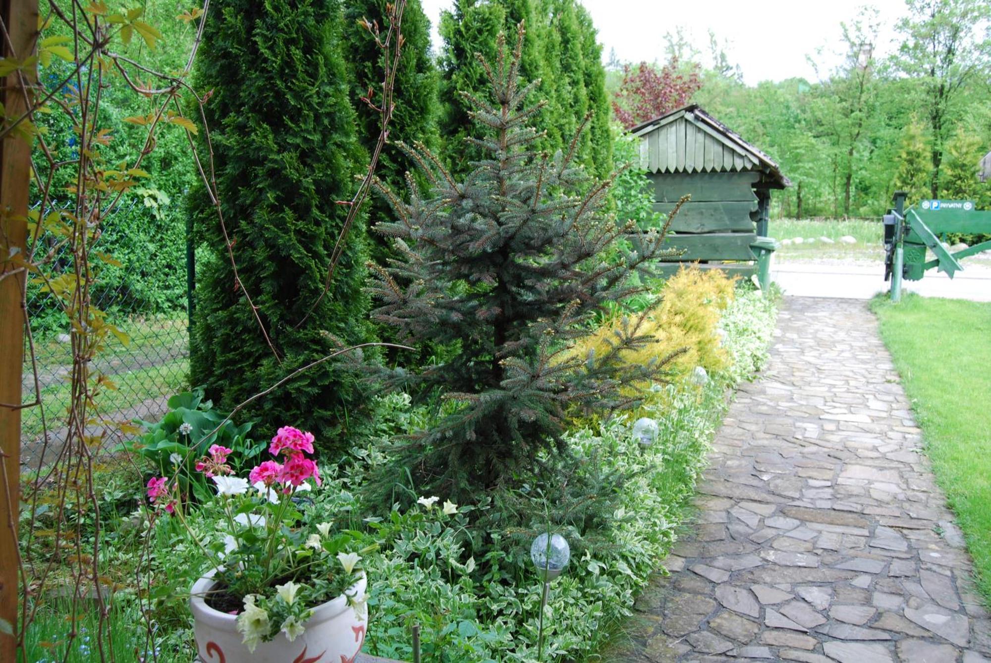 Willa Pod Bandera Zakopane Exterior foto
