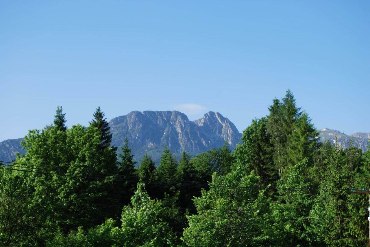Willa Pod Bandera Zakopane Exterior foto